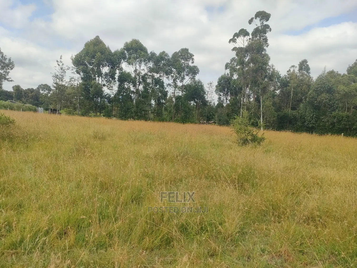 Karatina Hiriga 1acre.