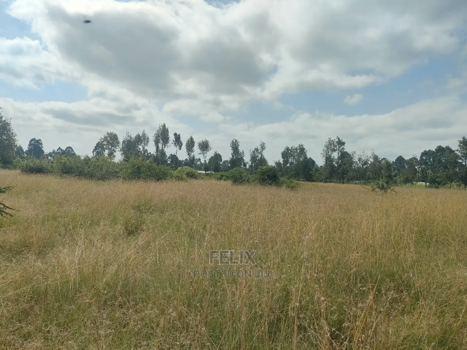 Karatina Hiriga 1acre.
