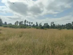 Karatina Hiriga 1acre.
