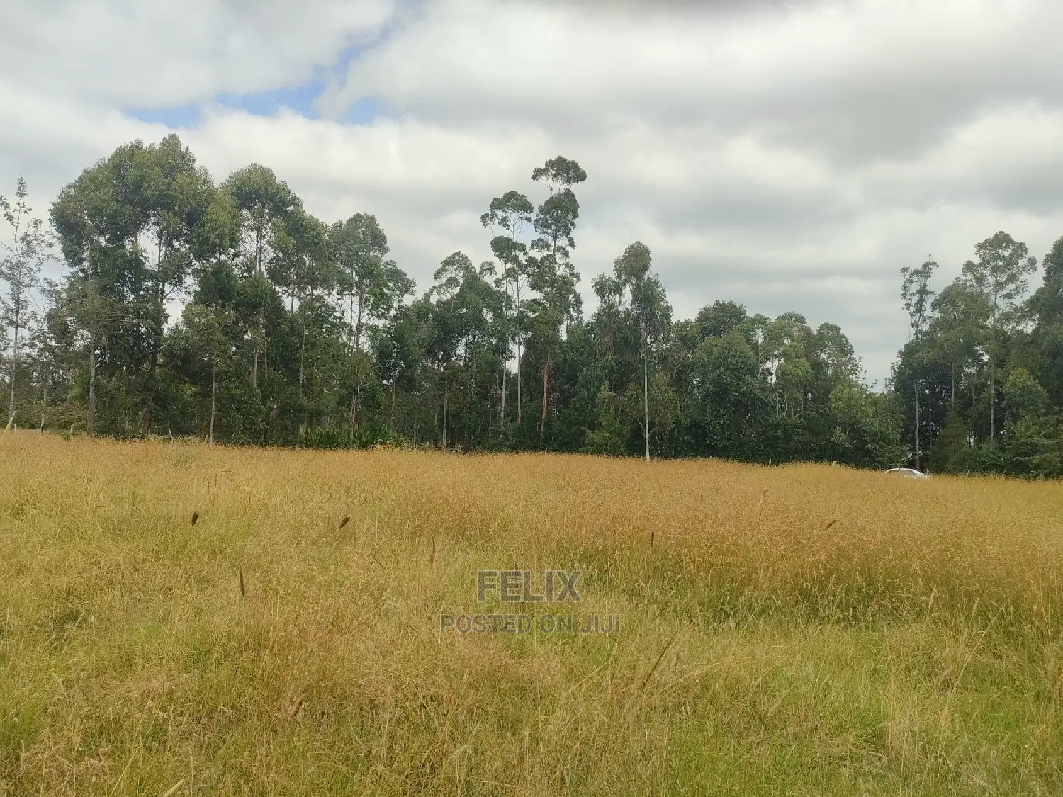 Karatina Hiriga 1acre.