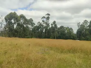 Karatina Hiriga 1acre.