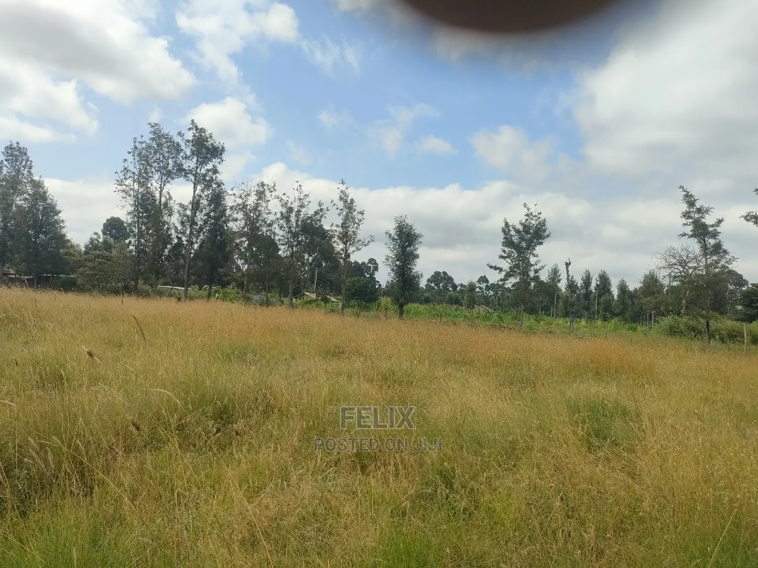 Karatina Hiriga 1acre.