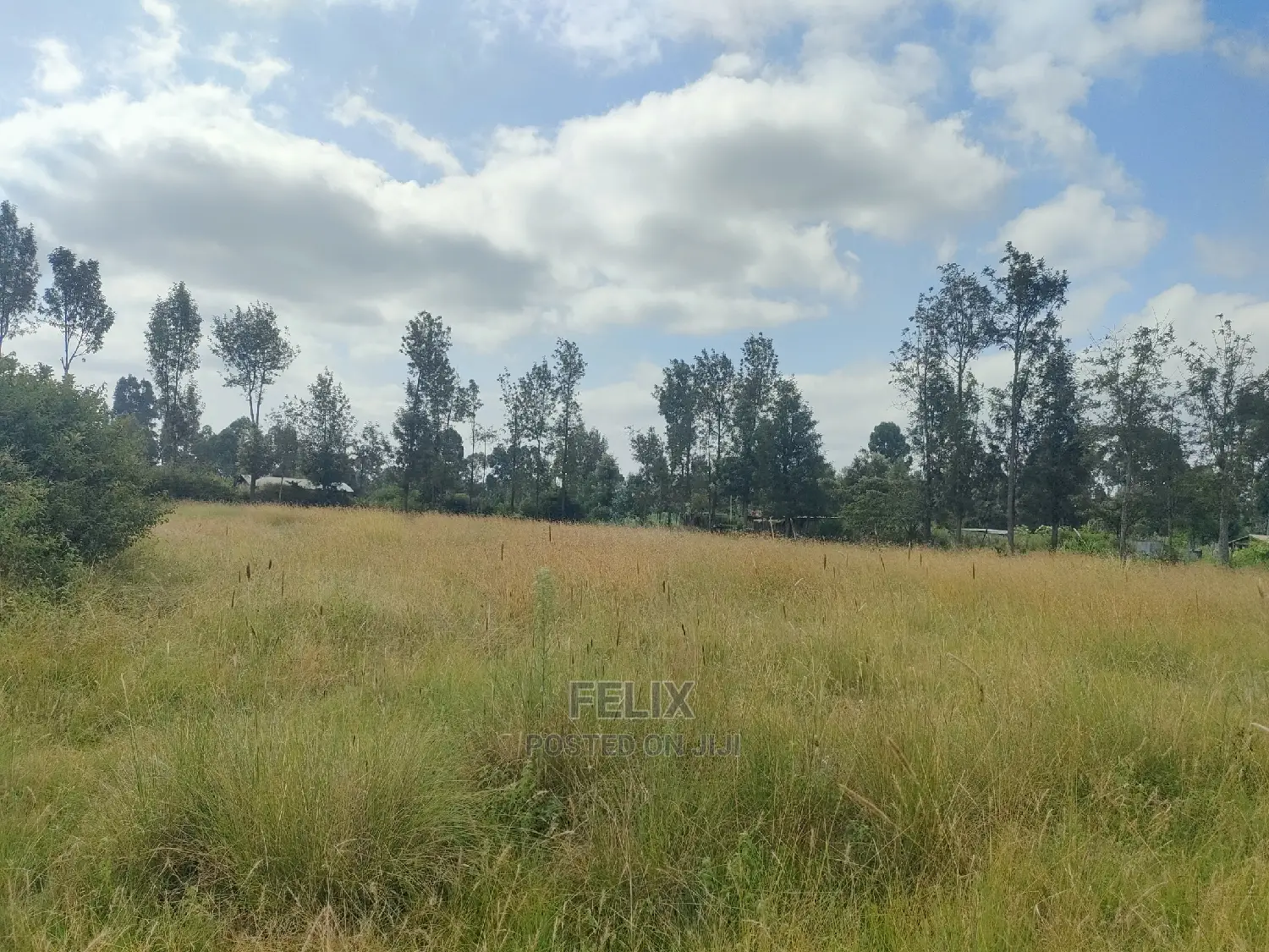 Karatina Hiriga 1acre.