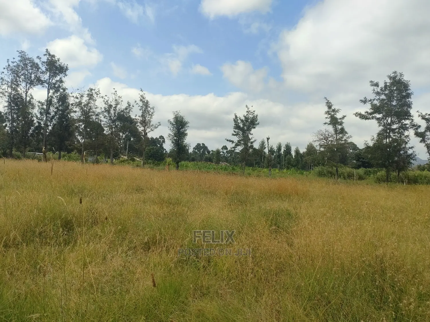 Karatina Hiriga 1acre.