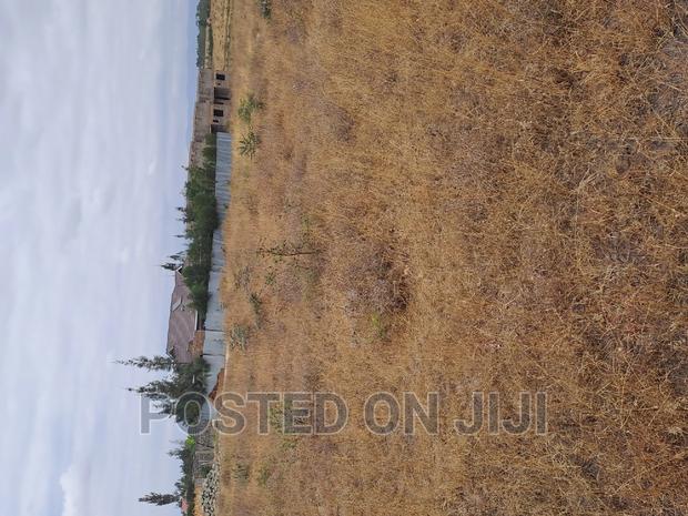 Malaa Plots Ready to Settle at 1.1mw^ - main view