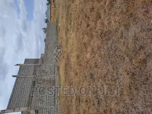 Malaa Plots Ready to Settle at 1.1mw^