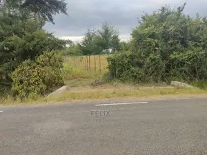 Narumoru/Kamburaini 1 Acre