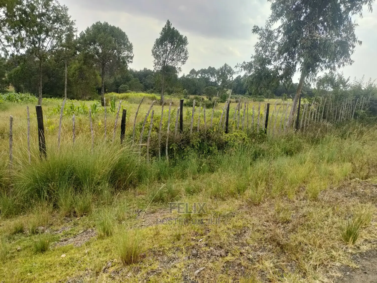 Narumoru/Kamburaini 1 Acre