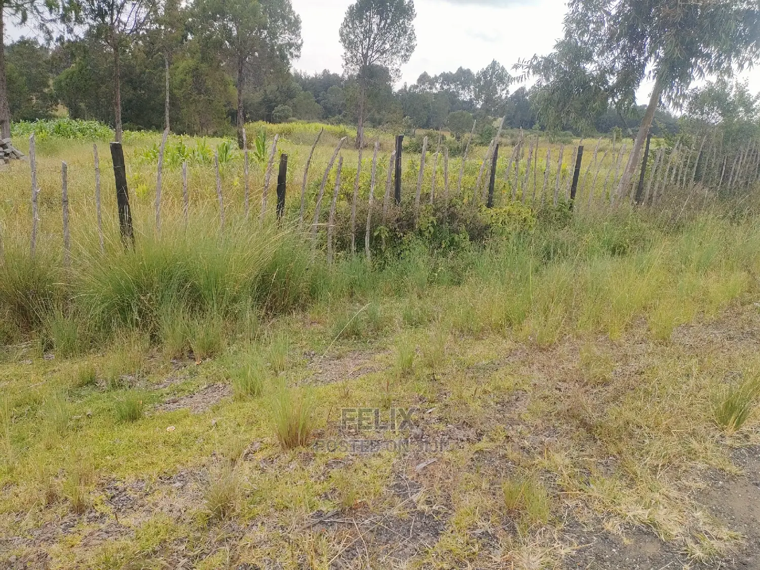 Narumoru/Kamburaini 1 Acre