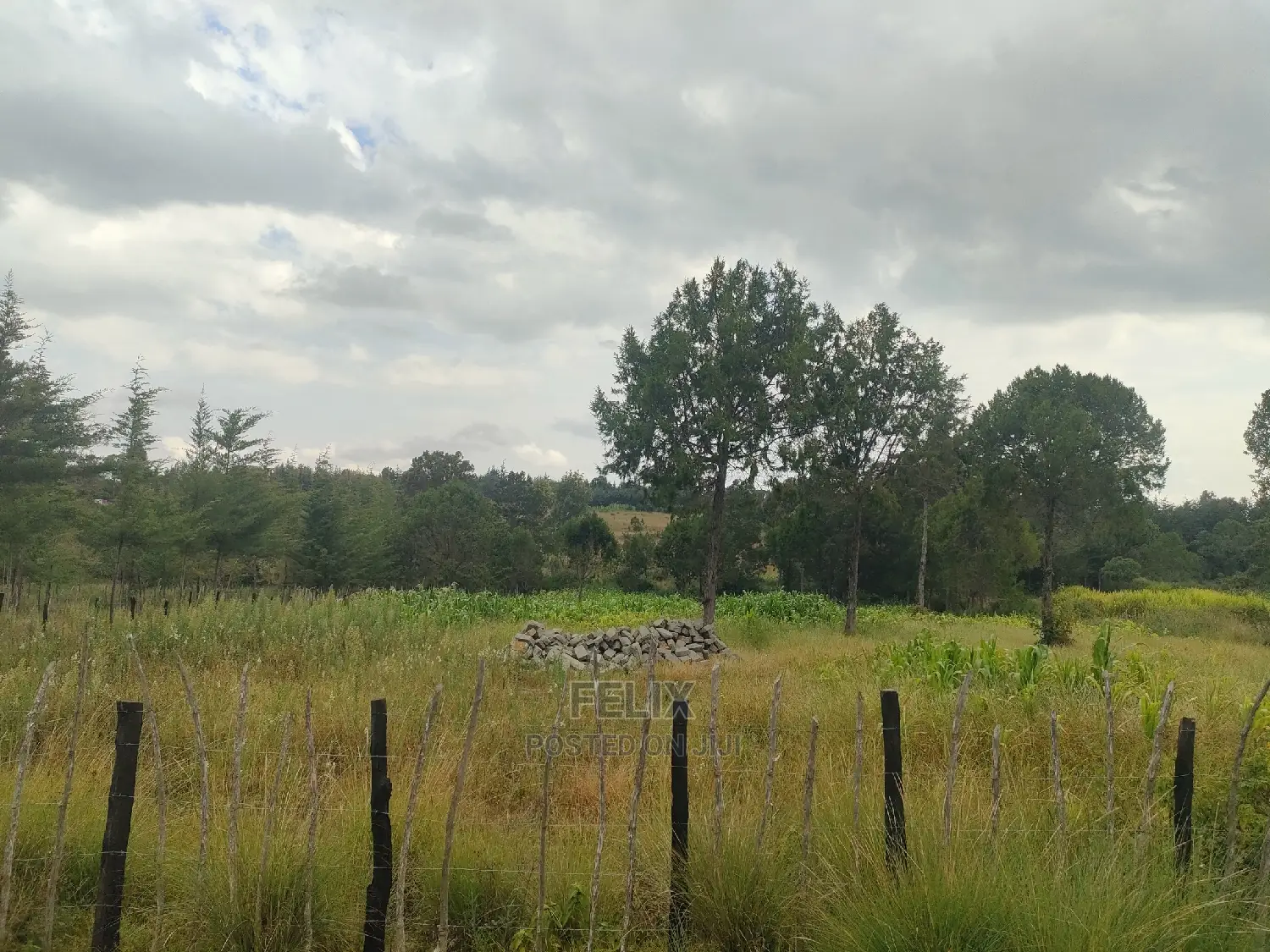 Narumoru/Kamburaini 1 Acre