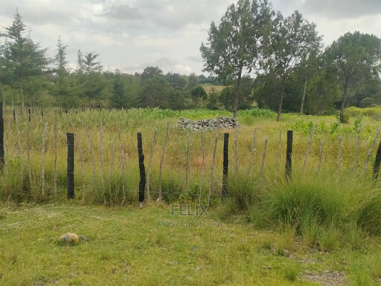 Narumoru/Kamburaini 1 Acre