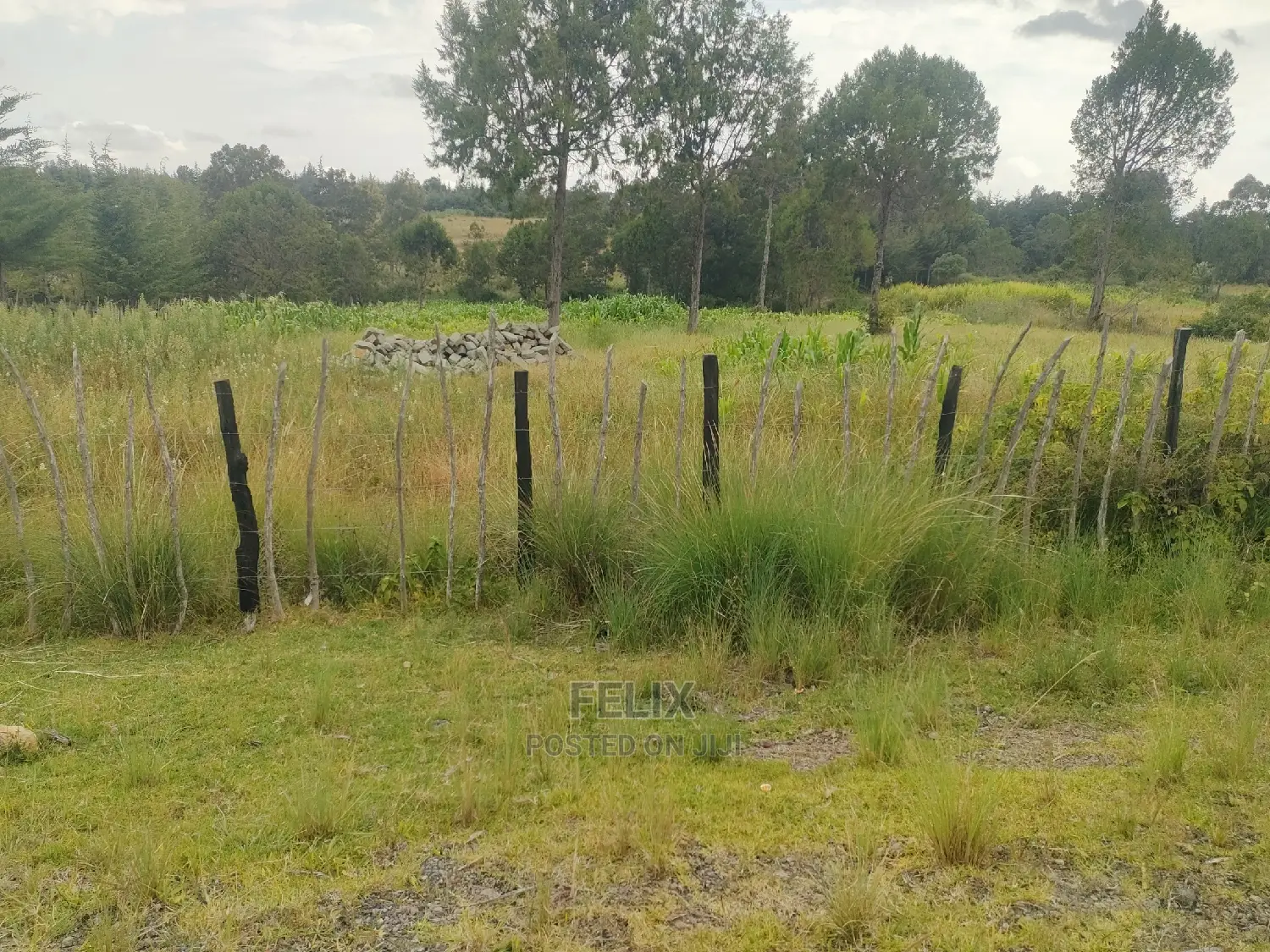 Narumoru/Kamburaini 1 Acre