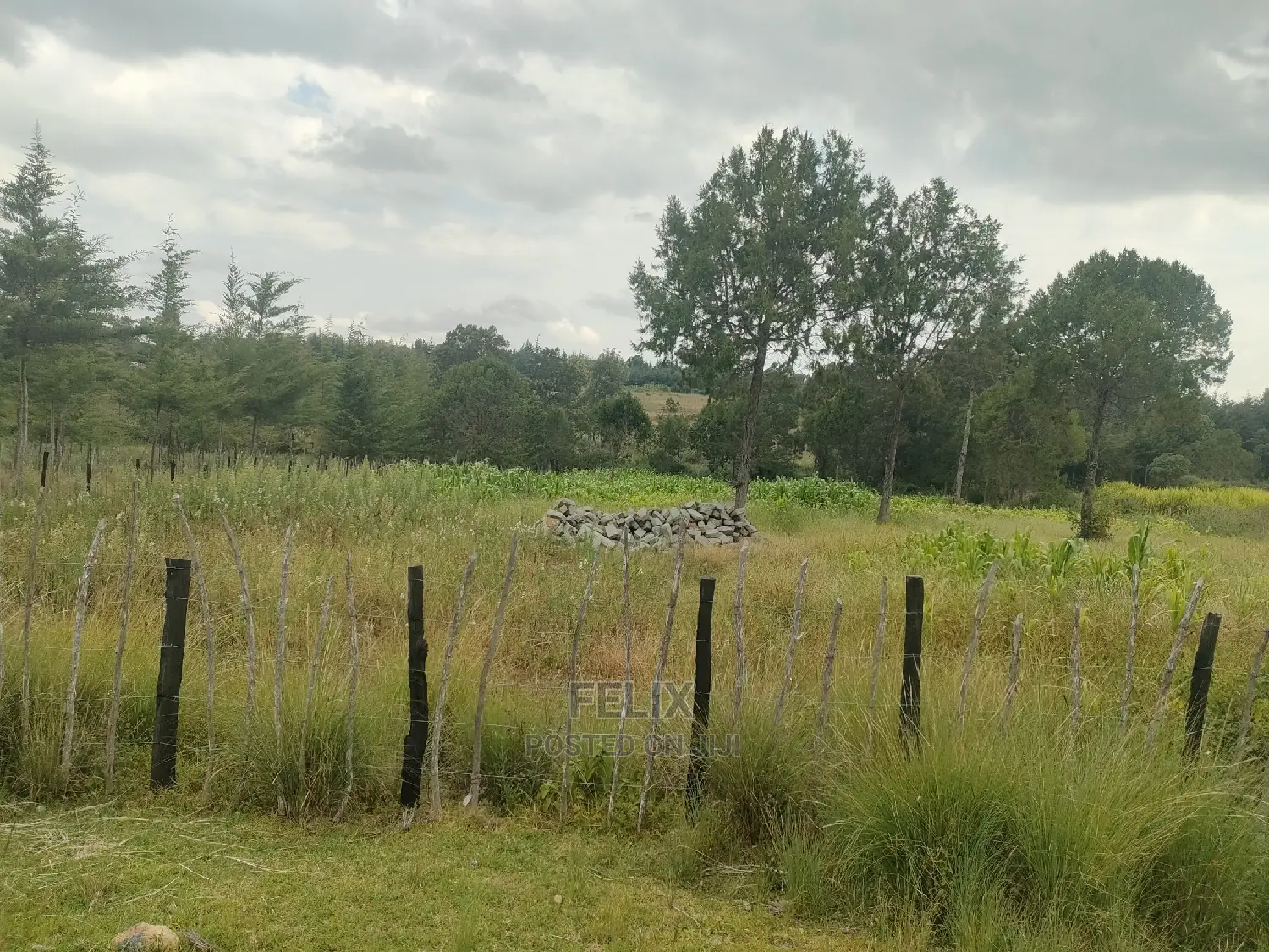 Narumoru/Kamburaini 1 Acre