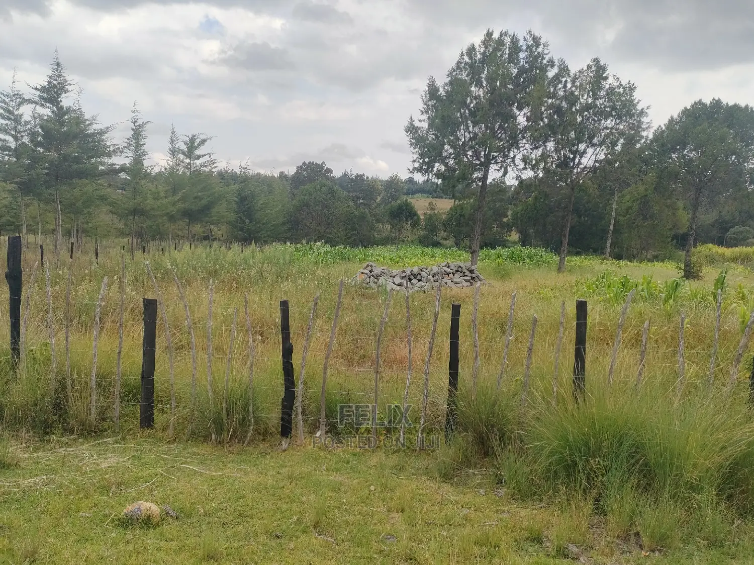 Narumoru/Kamburaini 1 Acre