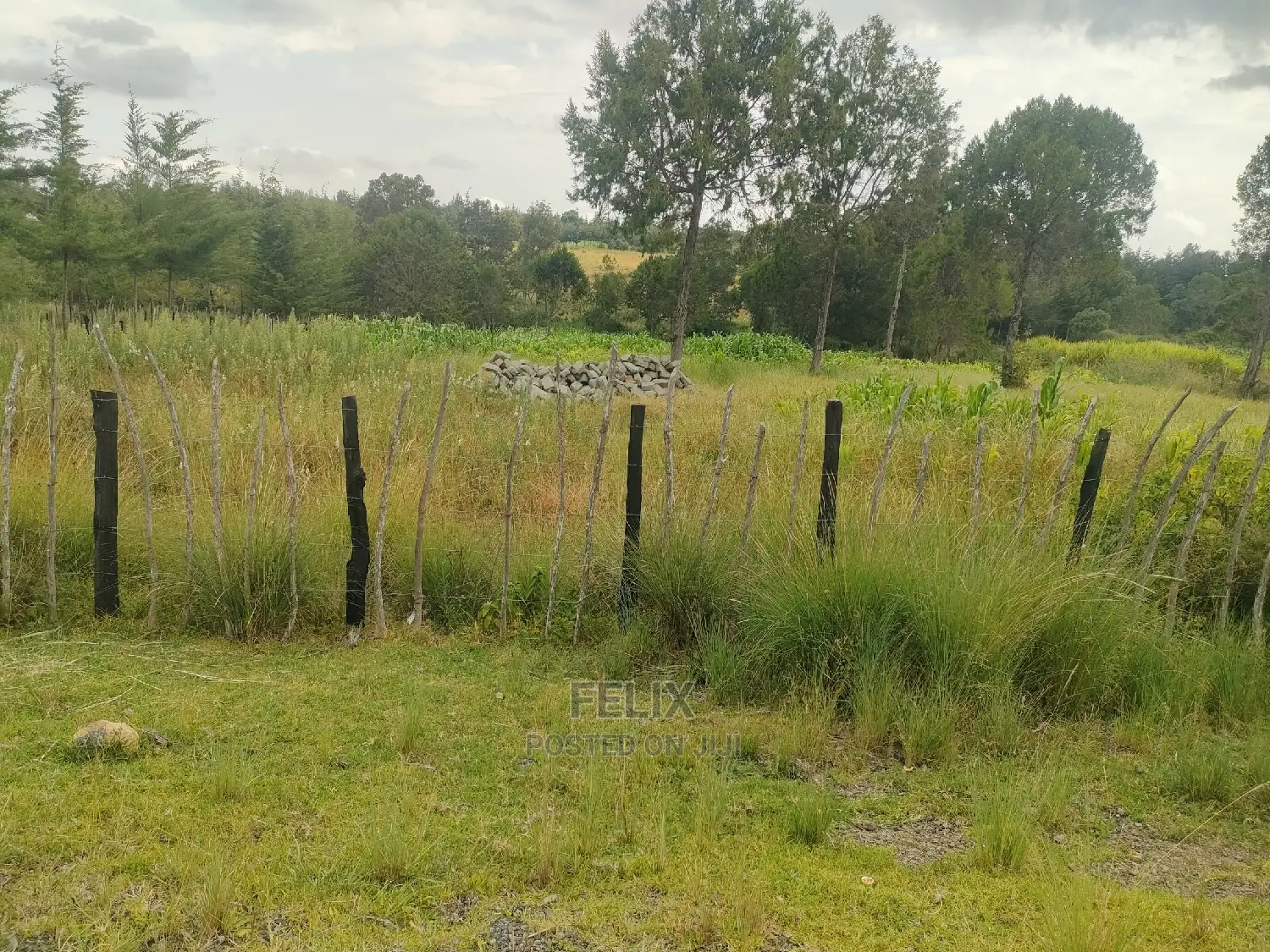 Narumoru/Kamburaini 1 Acre