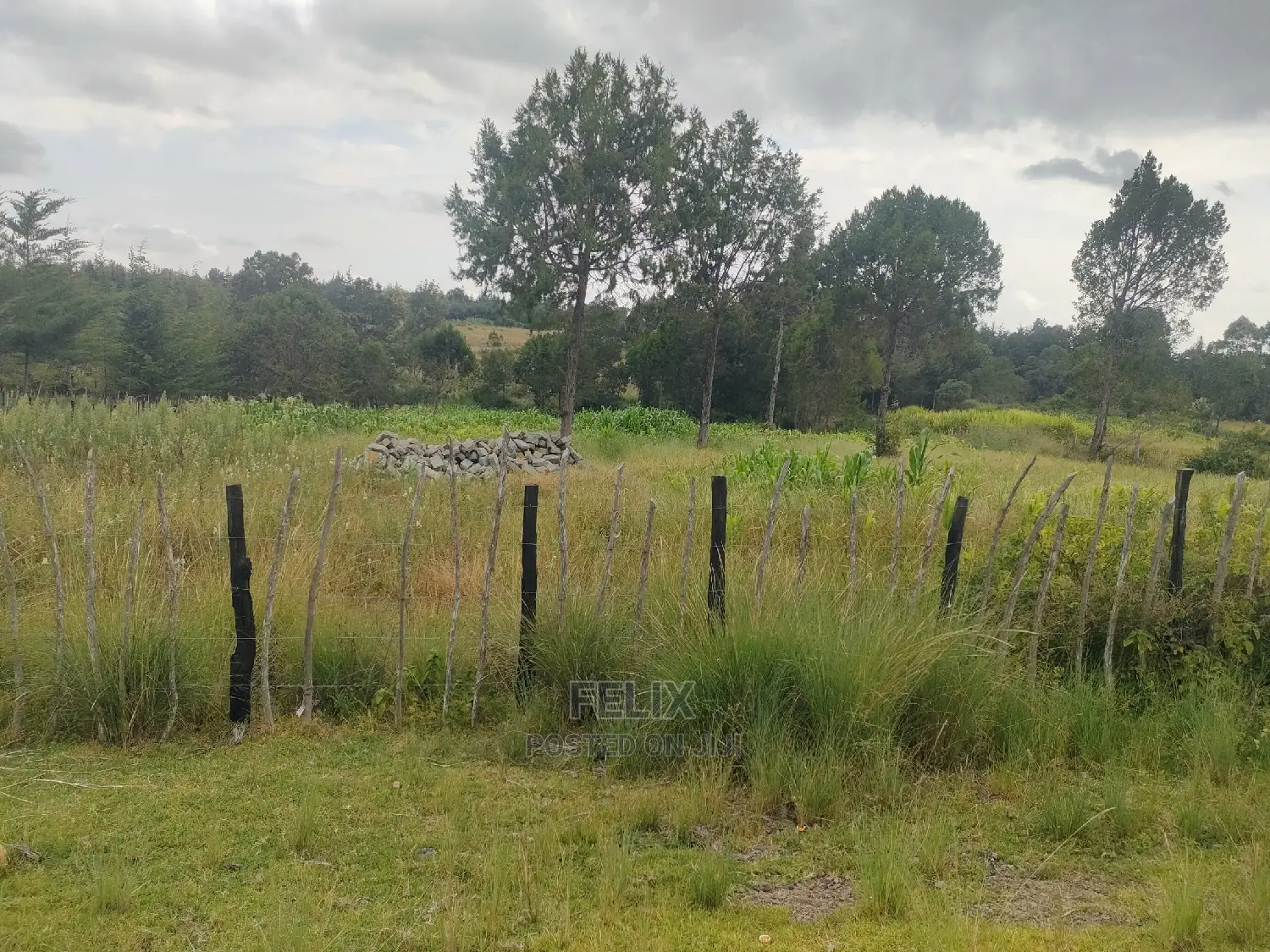 Narumoru/Kamburaini 1 Acre