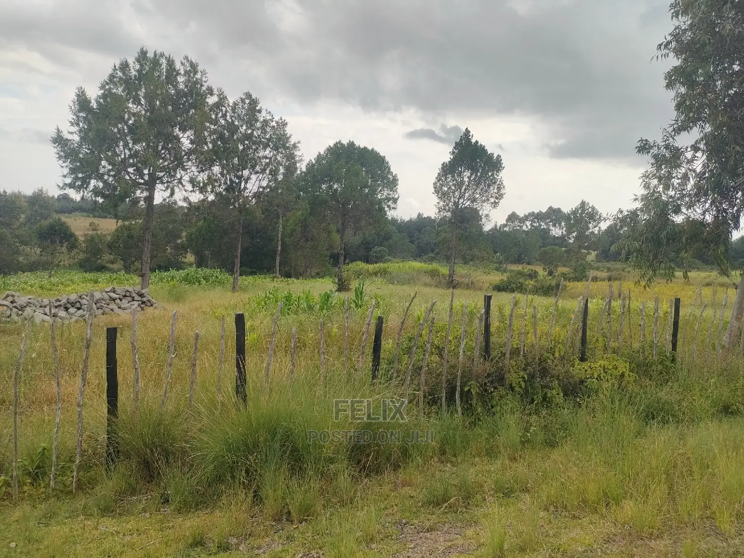 Narumoru/Kamburaini 1 Acre