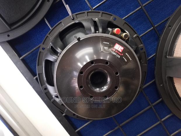 12 Inch Naked Speaker Nr 12WF335 - main view