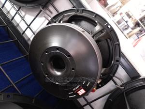 NR 10 WF335 10inch Naked Speaker - thumbnail 2