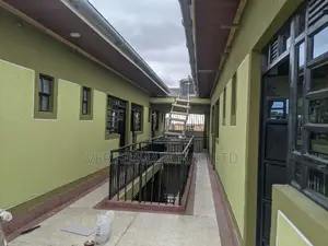 Painting Exterior and Interior Finishes.Stone Dressing.