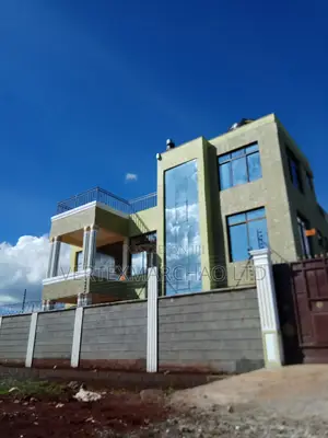 Painting Exterior and Interior Finishes.Stone Dressing.