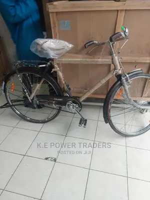 Heavy Gauge Steel Black Mamba Bicycle