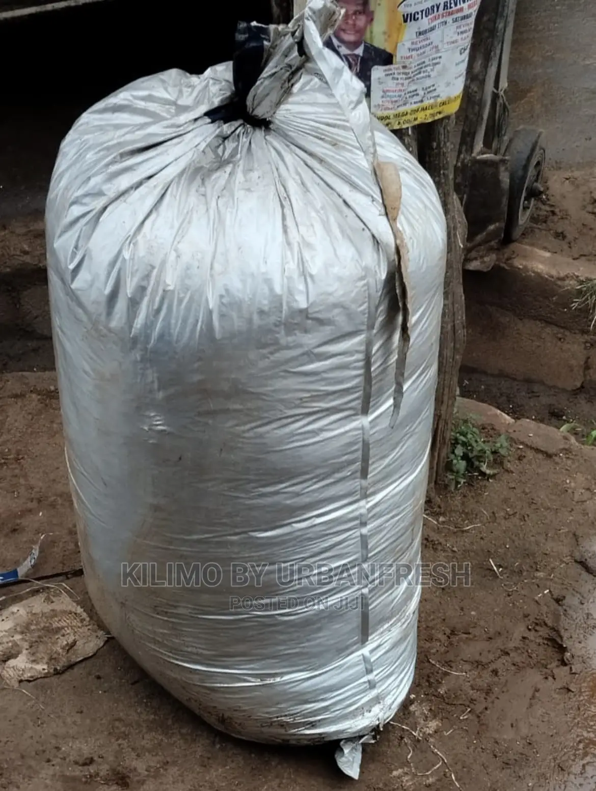 Machicha ( Brewery Spent Grain ) MOIST 100kgs Packed.