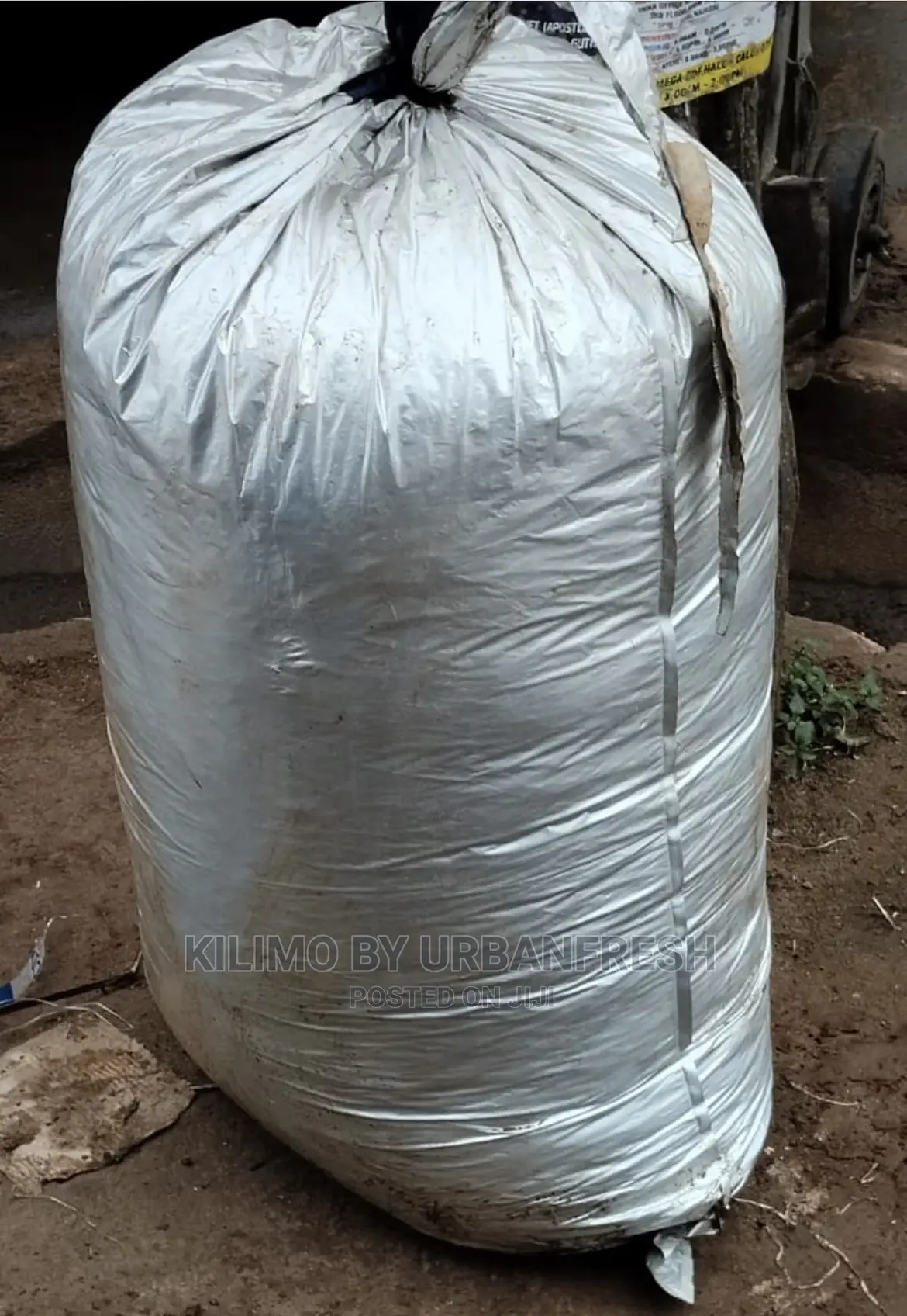 Machicha ( Brewery Spent Grain ) MOIST 100kgs Packed.