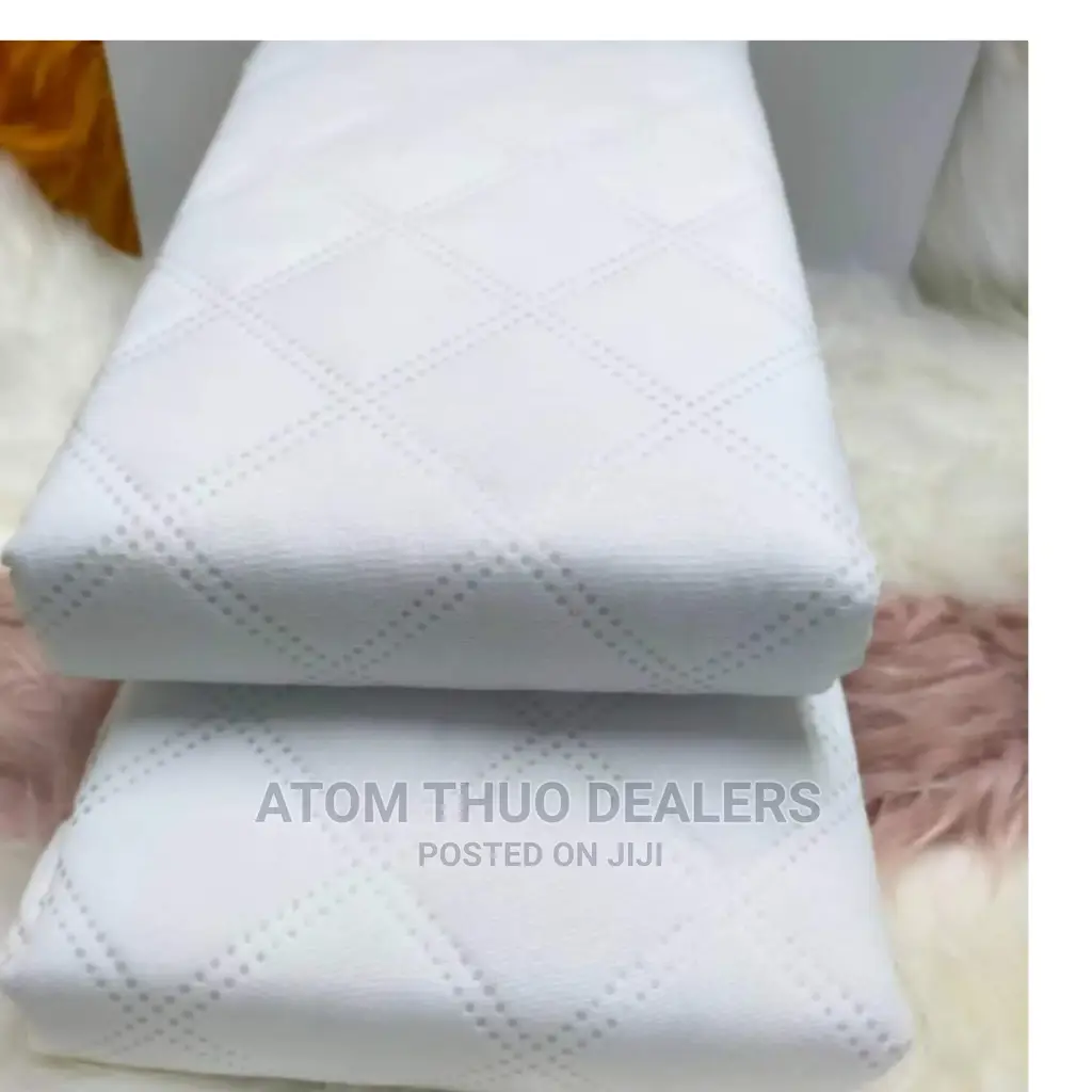 Water Proof Pillows Protector Set of 2 Pieces