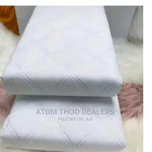 Water Proof Pillows Protector Set of 2 Pieces