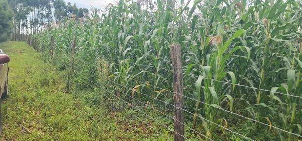 Plots for Sale Opposite Proposed MTRH Kiplombe in Eldoret
