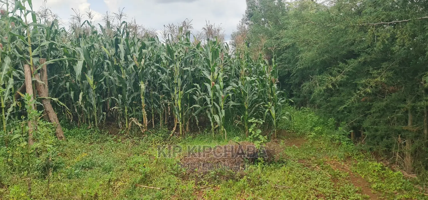 Plots for Sale Opposite Proposed MTRH Kiplombe in Eldoret