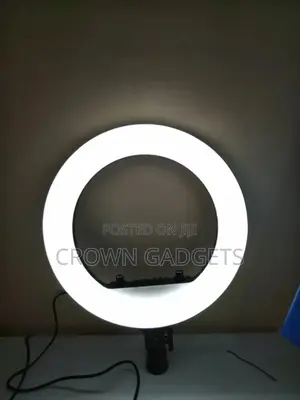 14 Inch Studio Selfie Ring Light Dimmable LED With Remote Co