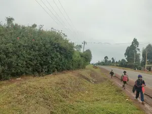 Nyeri/Gatitu 50/100 Touching Main Tarmac