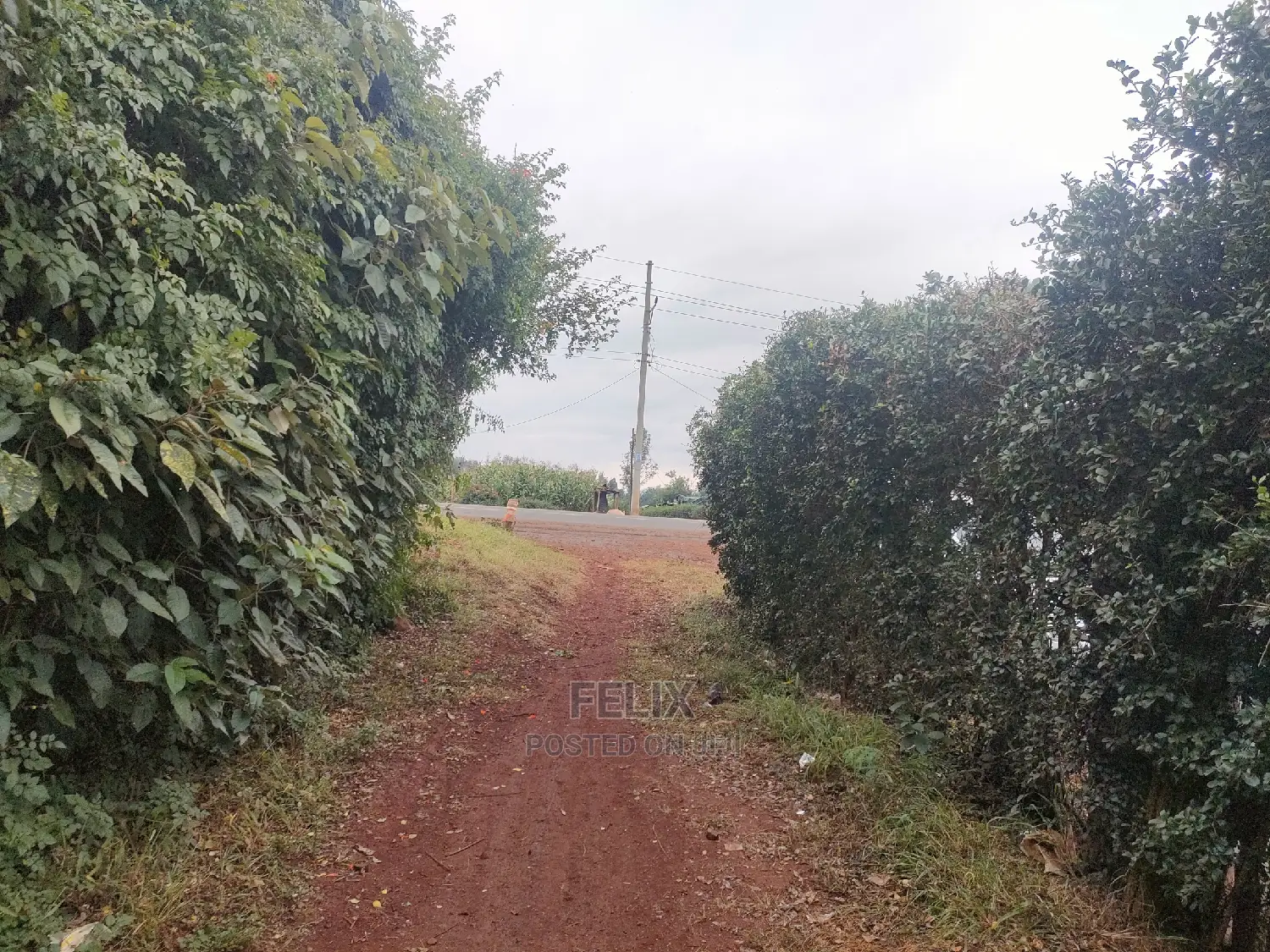 Nyeri/Gatitu 50/100 Touching Main Tarmac