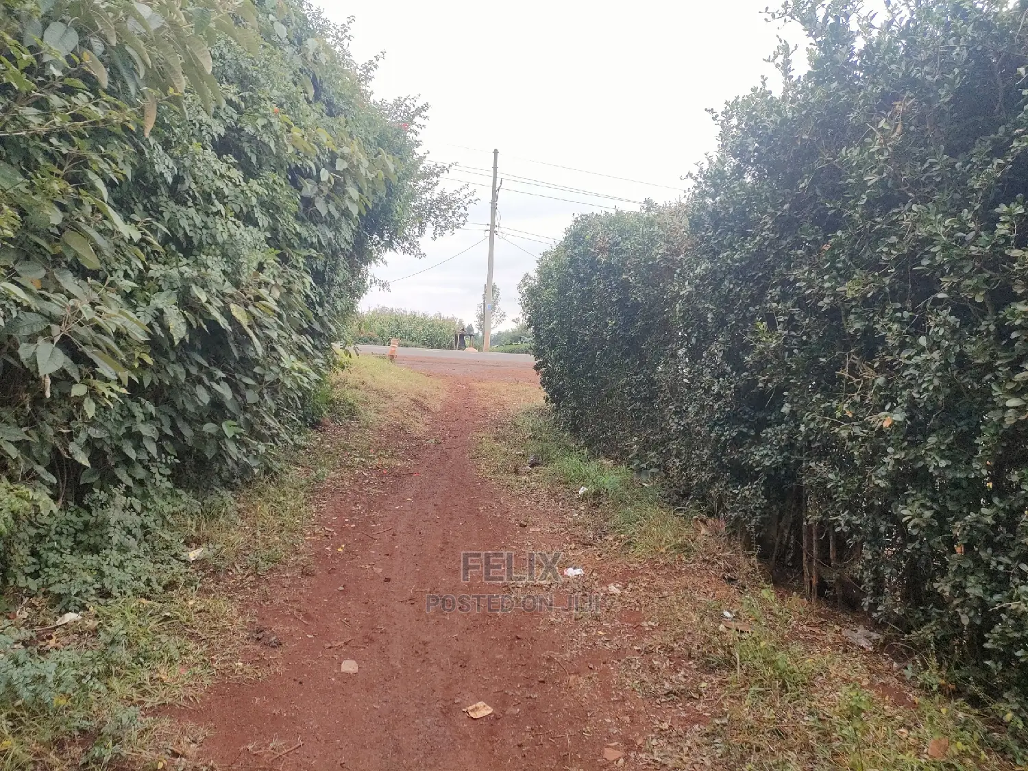 Nyeri/Gatitu 50/100 Touching Main Tarmac