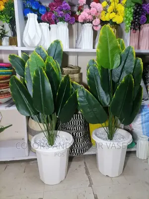 Banana Plant Basket on Offer