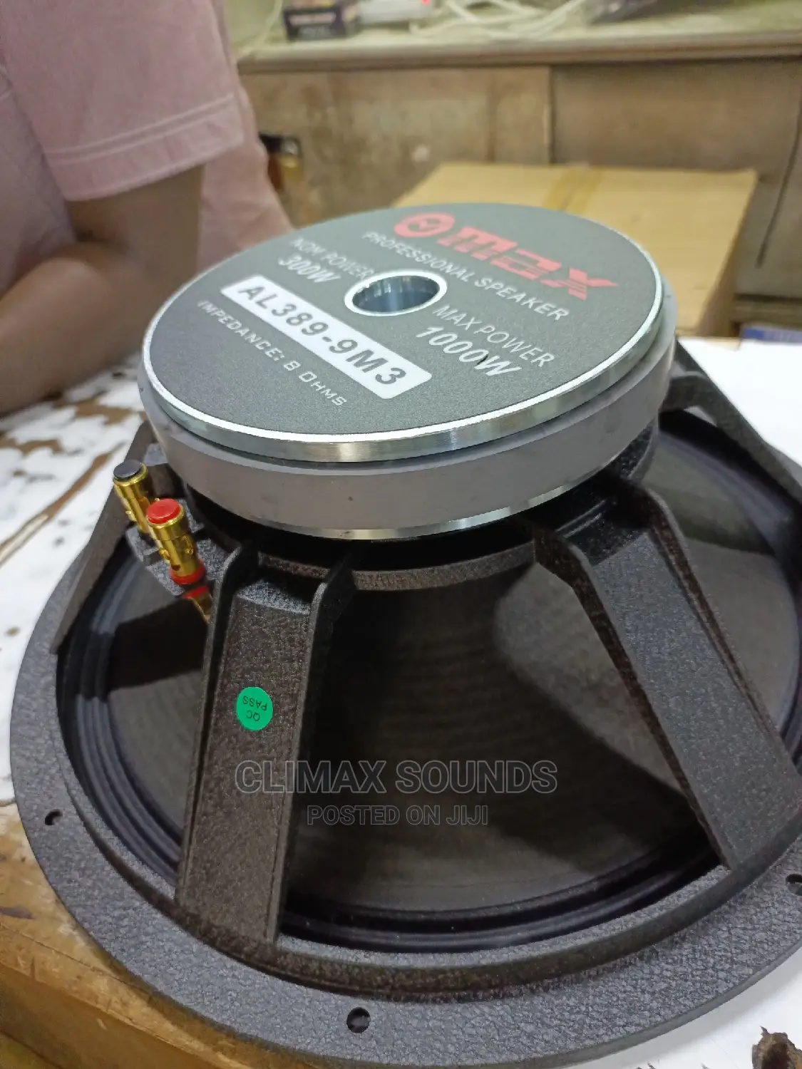 Max 15 Inches Naked Speaker