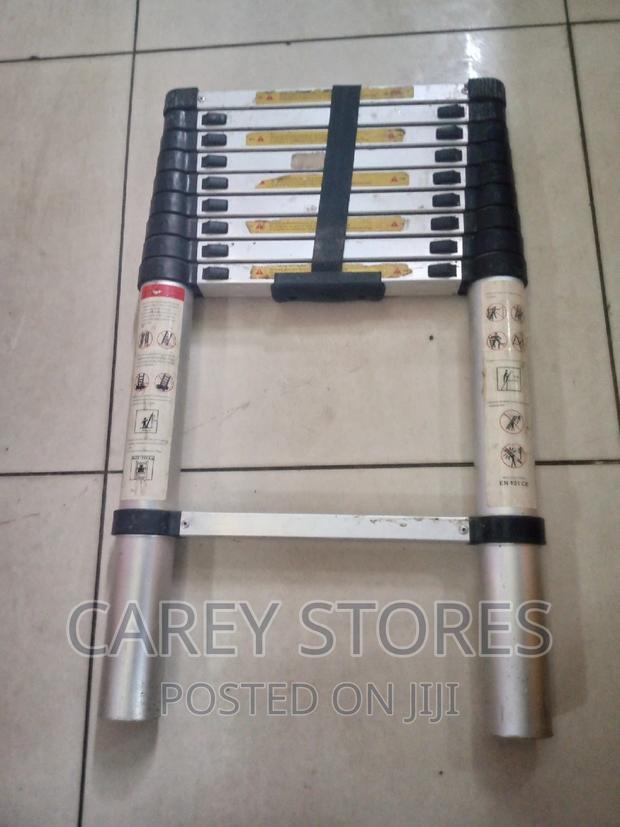 Telescopic Ladder - main view