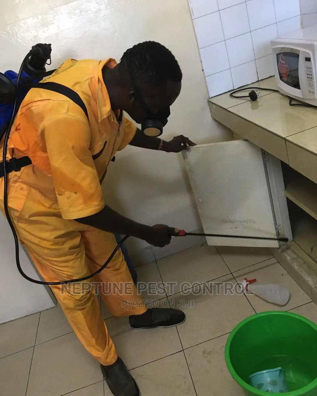 Cockroach Control in Nairobi