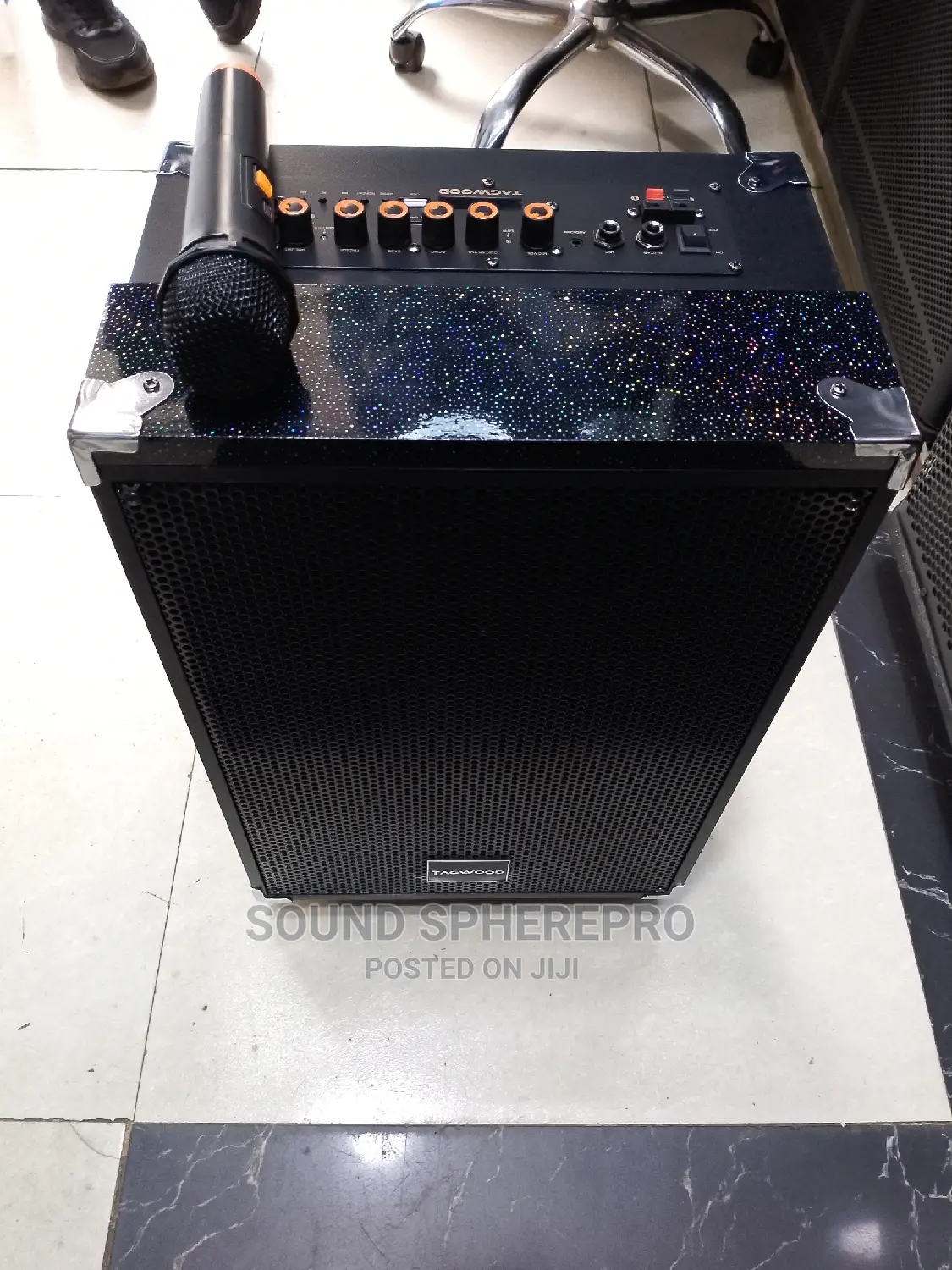 Tagwood 10inch Powered Speaker