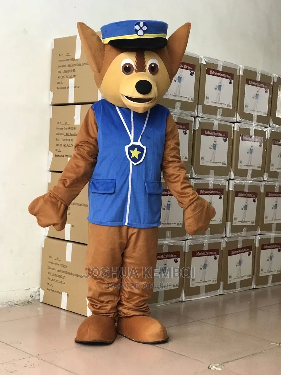 Mascots for Hire in Kenya