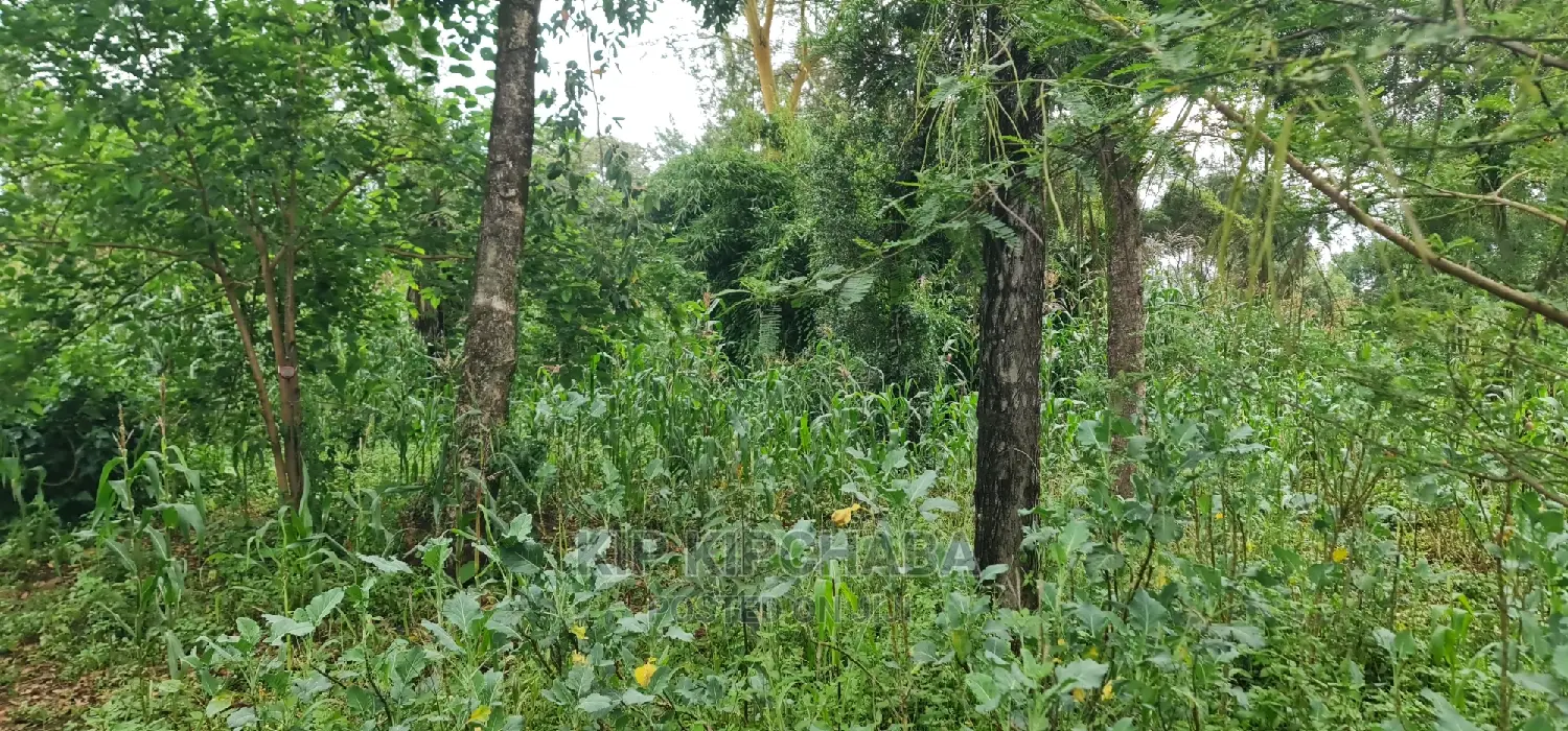 1 Acre Into 1⁄2 and 1⁄4 Plots for Sale in Elgonview Eldoret