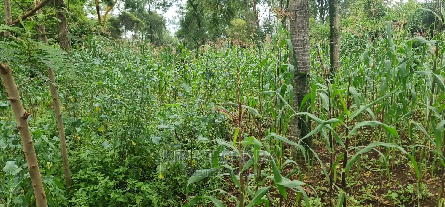 1 Acre Into 1⁄2 and 1⁄4 Plots for Sale in Elgonview Eldoret