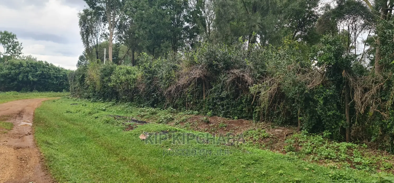 1 Acre Into 1⁄2 and 1⁄4 Plots for Sale in Elgonview Eldoret