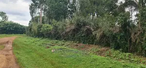 1 Acre Into 1⁄2 and 1⁄4 Plots for Sale in Elgonview Eldoret