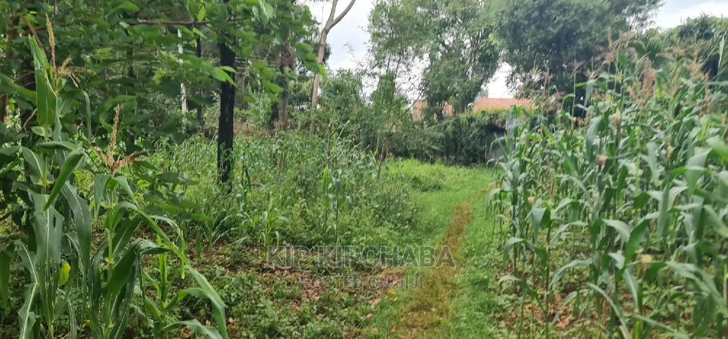 1 Acre Into 1⁄2 and 1⁄4 Plots for Sale in Elgonview Eldoret