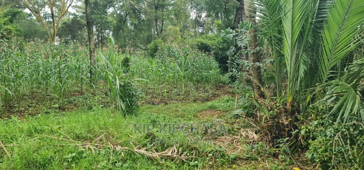 1 Acre Into 1⁄2 and 1⁄4 Plots for Sale in Elgonview Eldoret