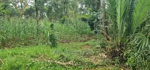 1 Acre Into 1⁄2 and 1⁄4 Plots for Sale in Elgonview Eldoret