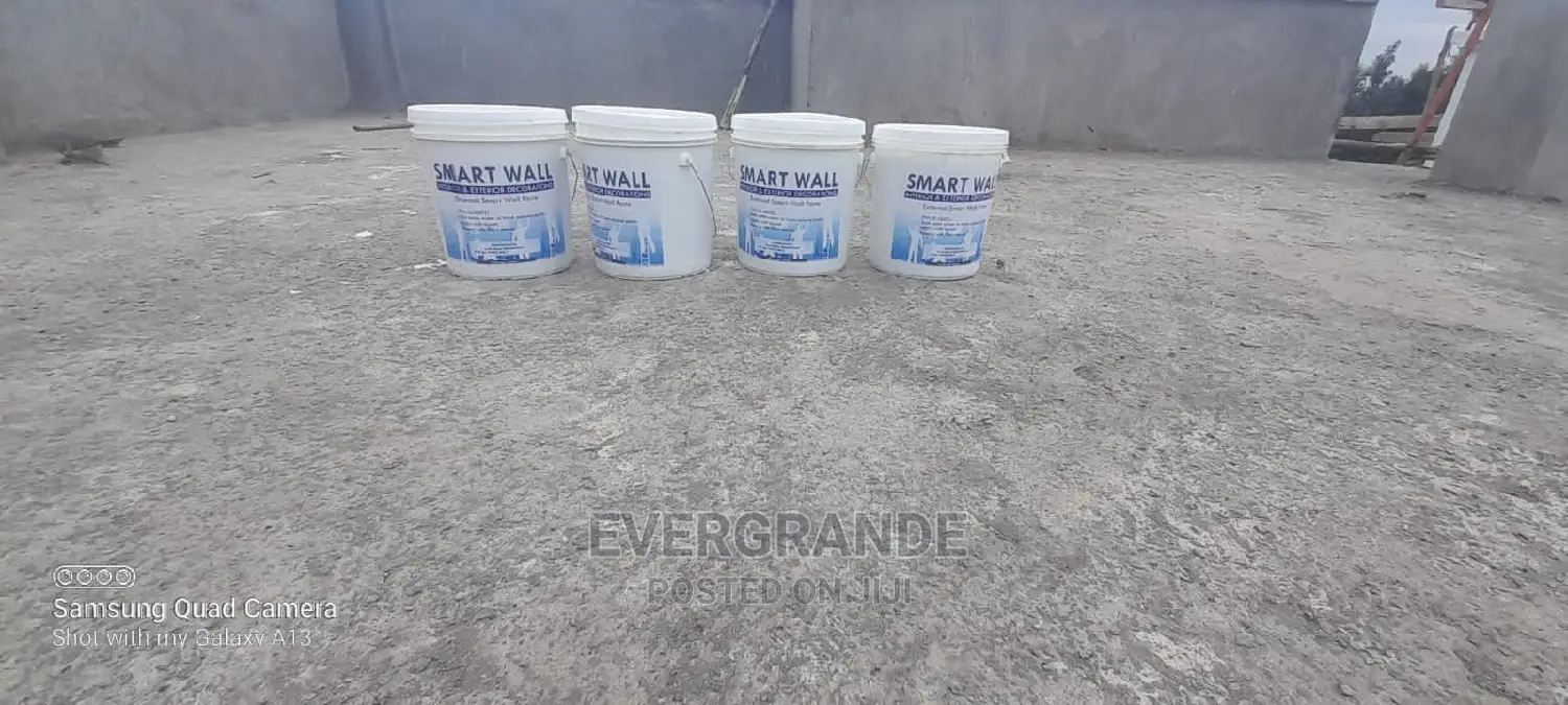 Exterior Interior Smart Wall Master, Smart Wall Painting